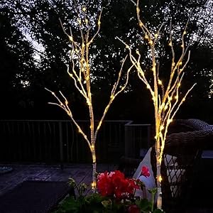 lighted branches