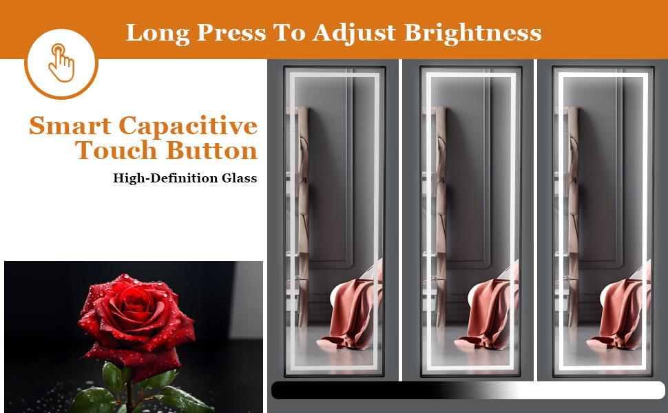 COFENY Full Length Mirror, 64" x 21" Led Mirror Full Length Black Floor