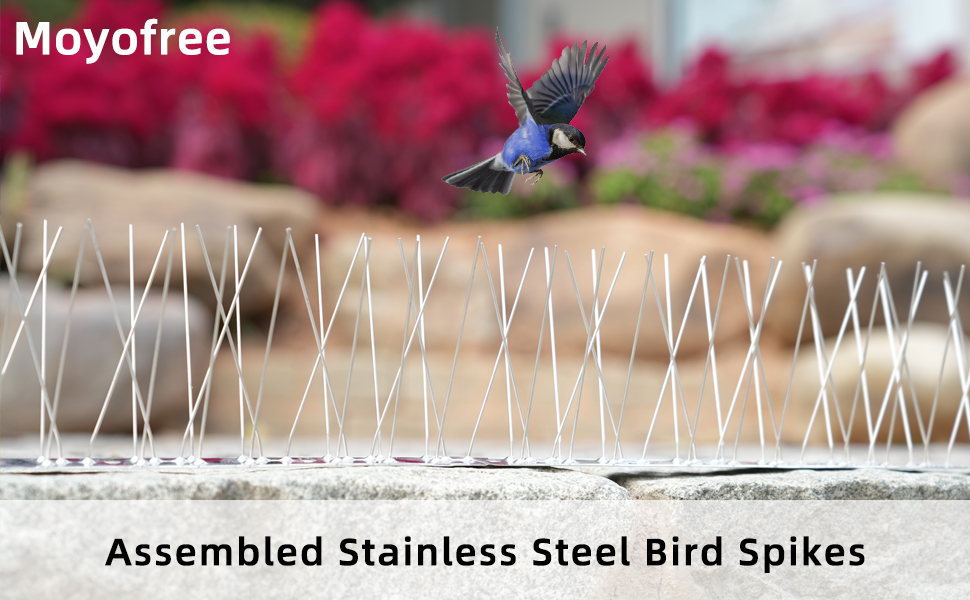 How to Stop Birds Perching on Pergola: Effective Bird Control Tips