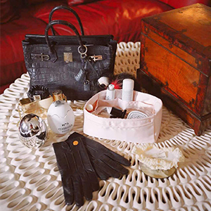 Luxury Purse Organizer