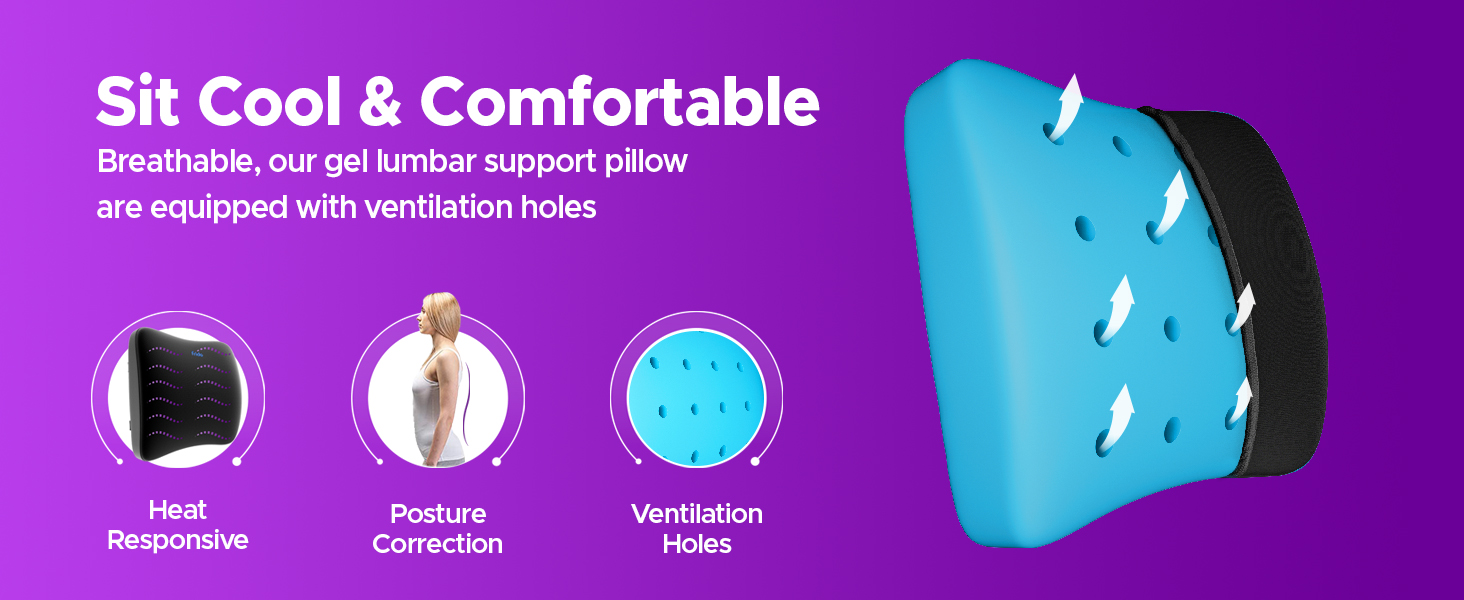 Frido Lumbar Back Support Pillow for Office Chair, Improves Posture