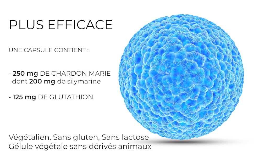 J.ARMOR CHARDON-MARIE SILYMARINE GLUTATHION SANS LACTOSE E GLUTEN CAPSULE