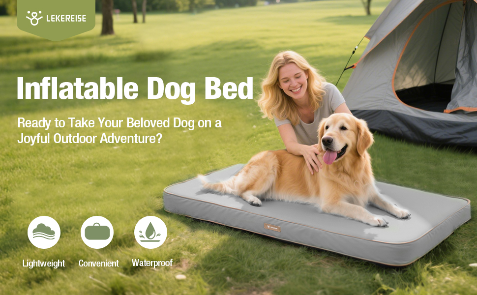 inflatable dog bed