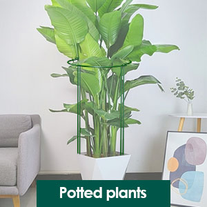 plant support stakes