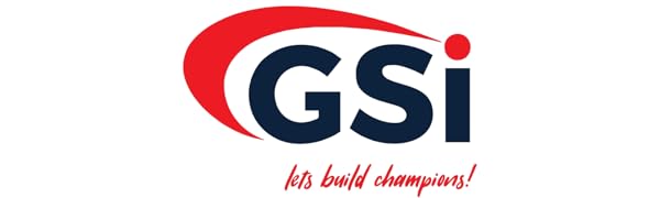 GSI Logo