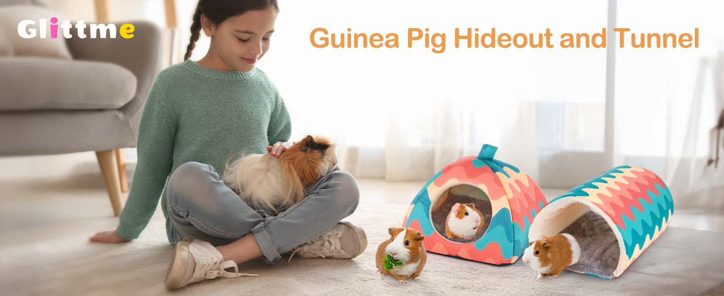 guinea pig hideout and tunnel
