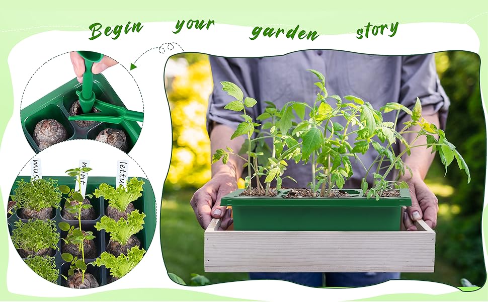 seed starter tray