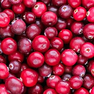 Close-up photo of cranberries