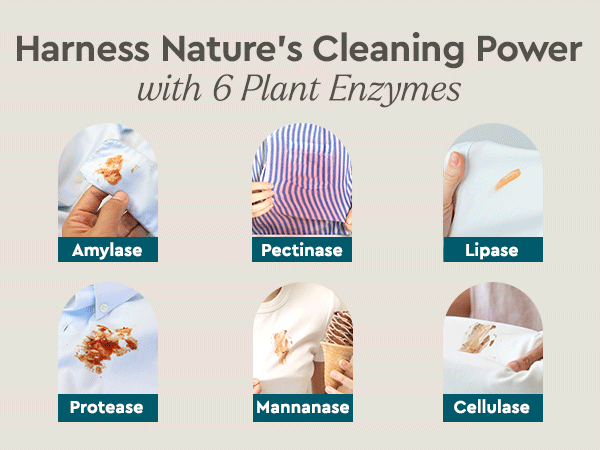 Six plant enzymes included in the stain remover formula