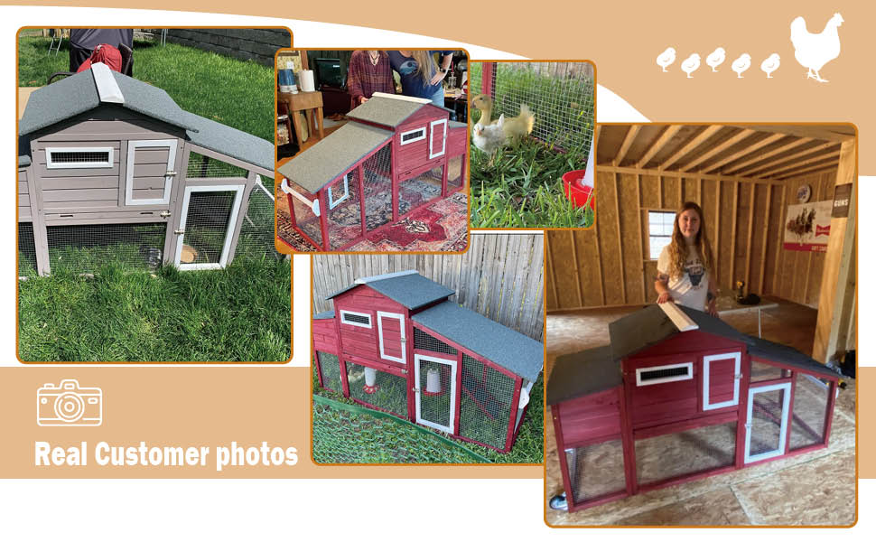 chicken coops for 10 chickens