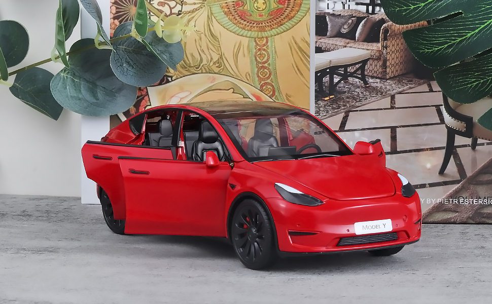 OANMYJJO Toy Cars Model Y 1/24 Zinc Alloy Diecast Metal Model Car, Pull Back Toy