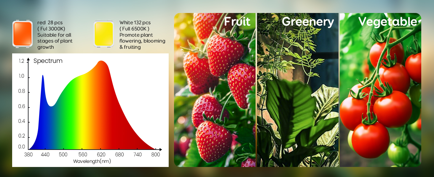 SDOVUERC grow light is equipped with 6000K cool white and 660nm red)