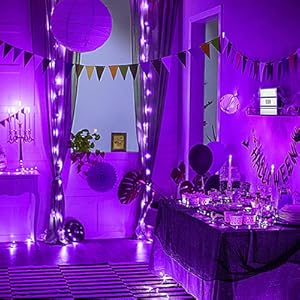 Ceiling and Interior Decoration