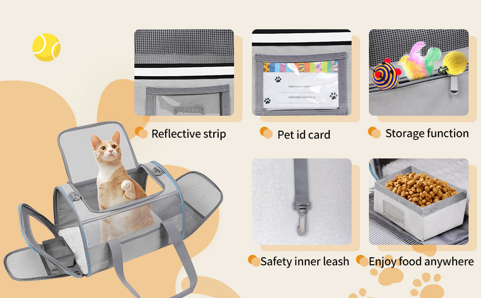 small cat carrier