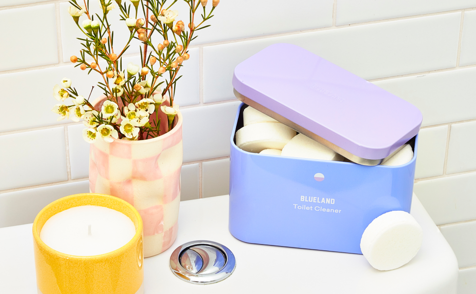 Toilet Cleaner sitting on toilet