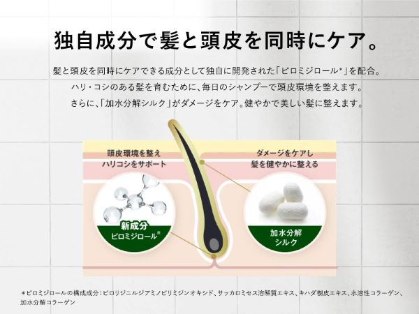 Vitalism, scalp care, scalp, scalp, hair loss, men's, shampoo