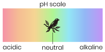 3B