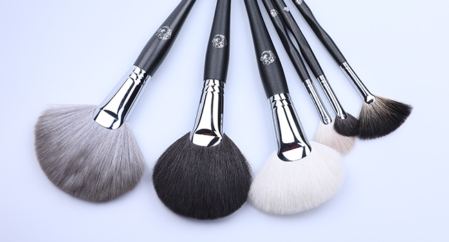 fan brush for makeup powder