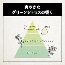 サクセス24 クレンジング シャンプー コンディショナー 　グリーンシトラス サクセス24クレンジングシャンプー 爽やかなグリーンシトラス