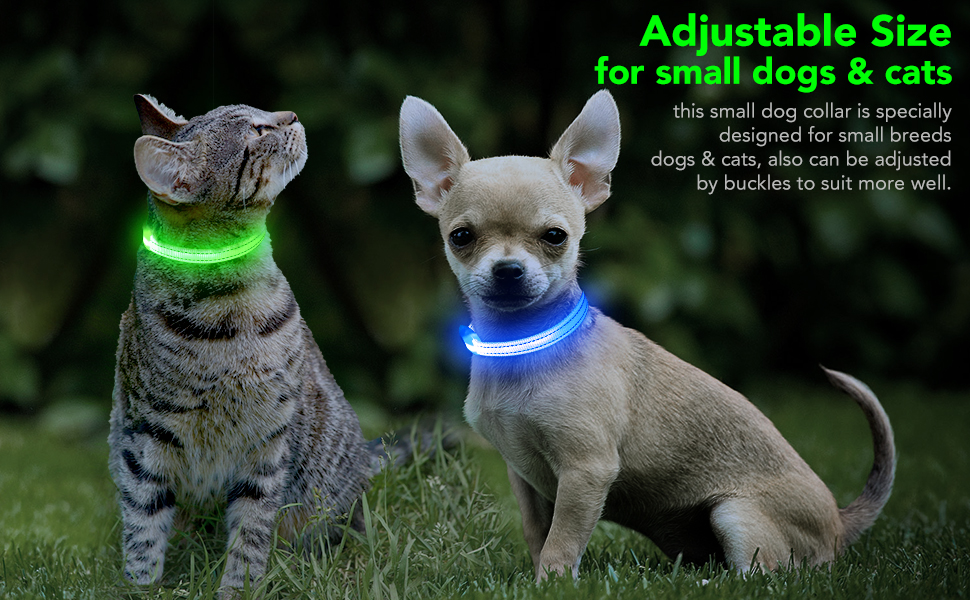 Domagiker Light Up Cat Collars Rechargeable LED Dog