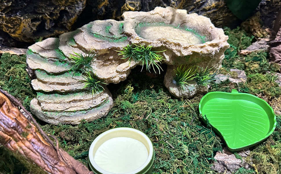 Niwaes Large Basking Platform for Bearded Dragons 4 Pcs