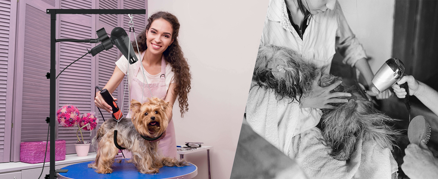 HAND-FREE DOG GROOMING ARM