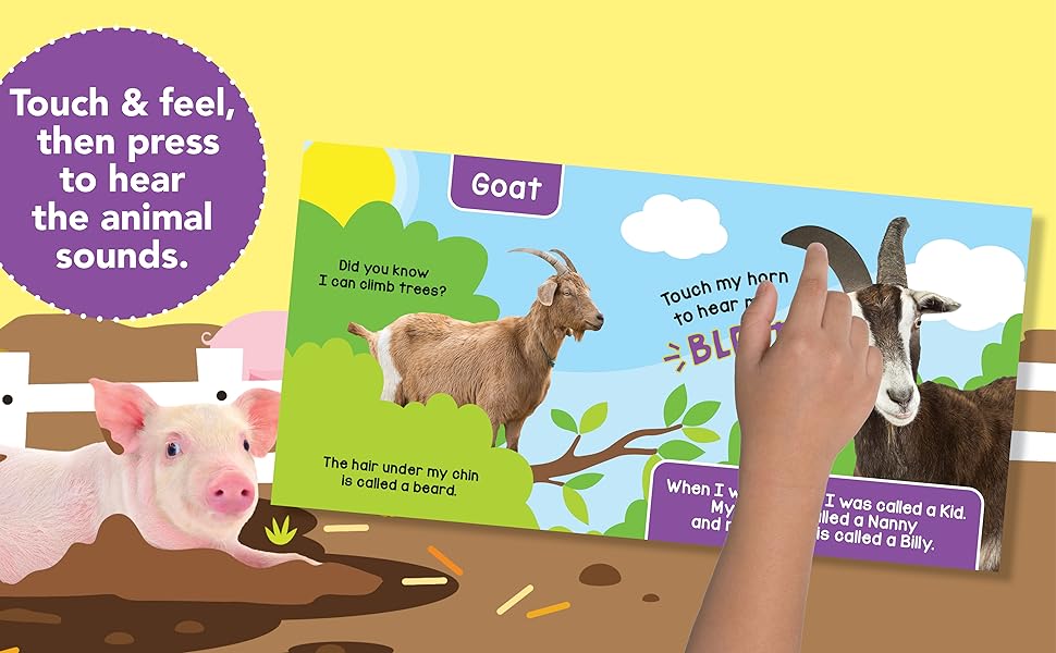 little hippo books touch and feel with sound farm animals