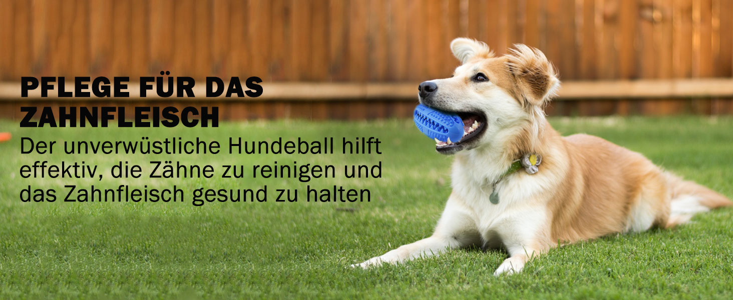 Kauspielzeug für Hunde