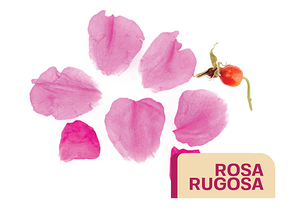 Itchiness Redness Heals related conditions dermatitis 80% harmful elements Piercing