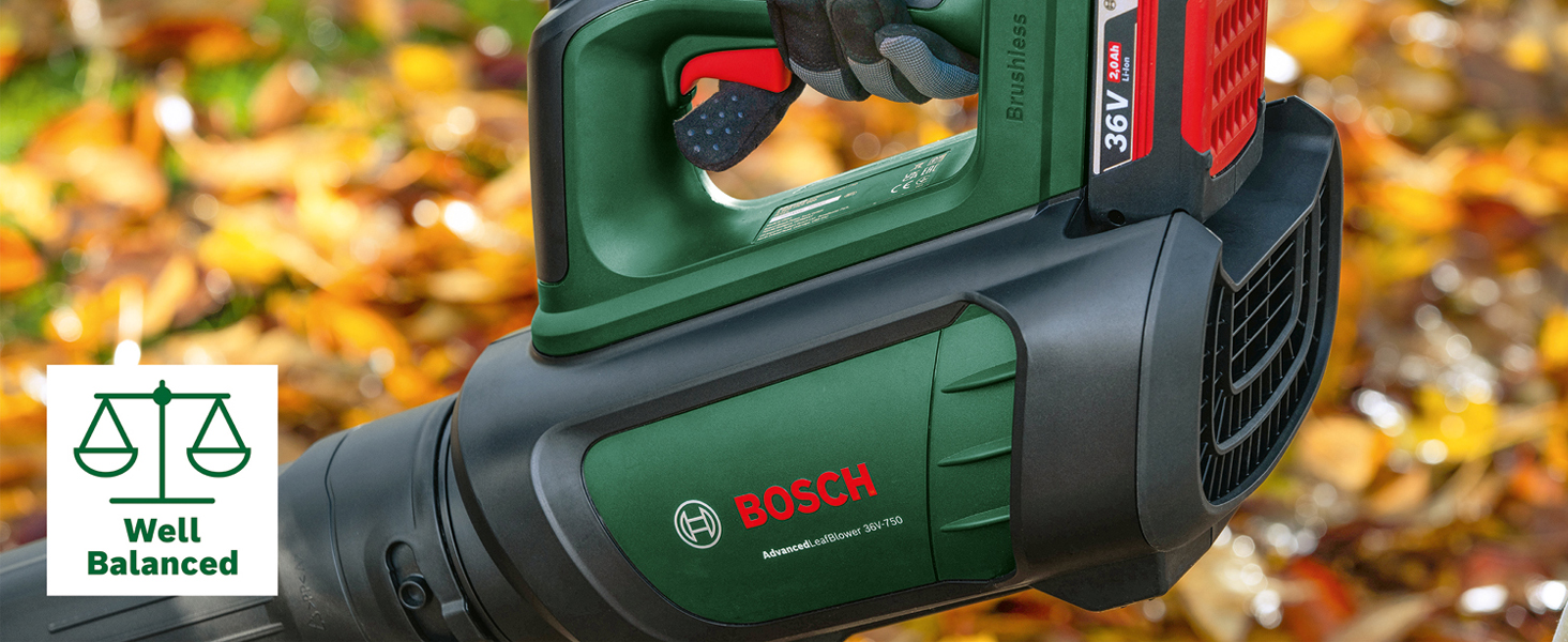 AdvancedLeafBlower 36V-750