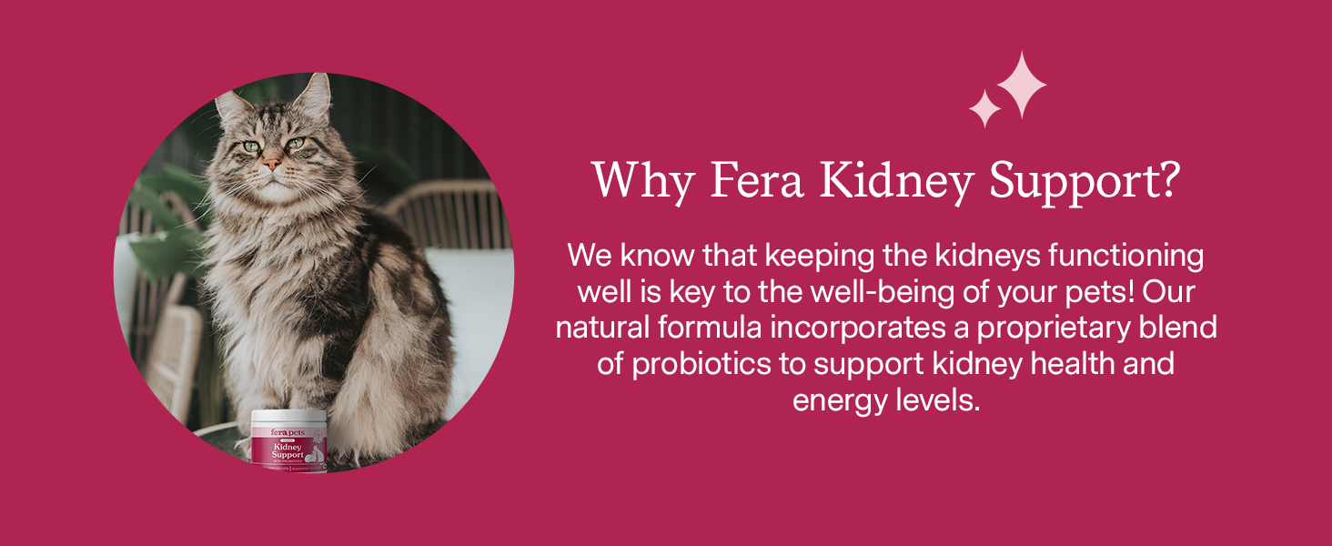 Our natural formula incorporates a blend of probiotics to support kidney health and energy