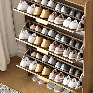 Shoe Cabinet