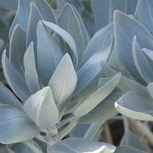 Small manufacture image 5