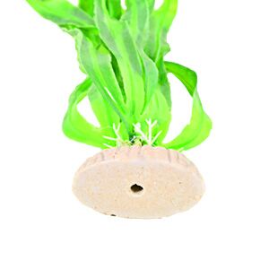 fish tank accessories