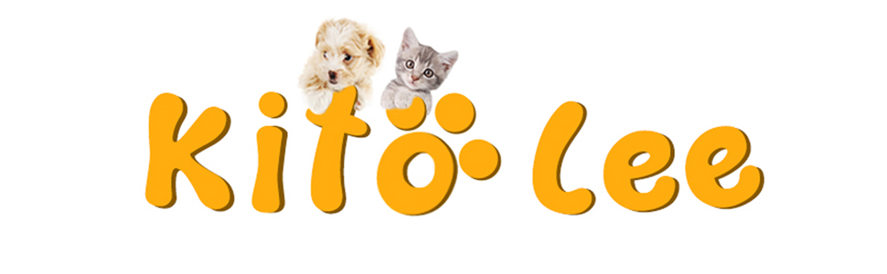 cat mouse toys