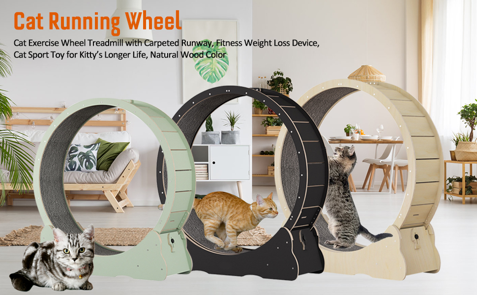 Homegroove Cat Exercise Wheel for Indoor Cat, Cat Running Wheel with Carpeted