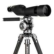 Benro Wildlife Tripod with Head