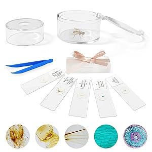 Small manufacture image 8