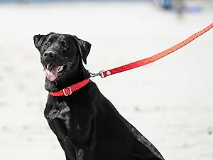 HUGO & HUDSON Tweed Dog Lead Padded Handle... 24 Fabric Dog Lead