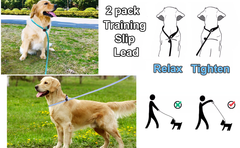 SEPXUFORE 2Pack Slip Lead Dog Leash 5 FT, Strong Nylon Rope Dog Training Leash for