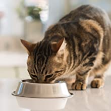Natural Value Pet Food Cat Food Gourmet Dinners Grain-Free Tuna ';n Toppings