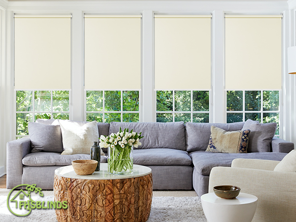 FHSBlinds ロールスクリーン ロールカーテン Amazon｜FHSBlinds ロールスクリーン ロールカーテン FHSBlinds 1級