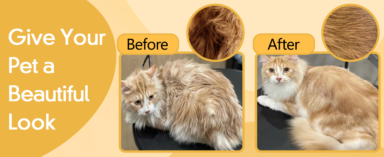 no rinse dog shampoo