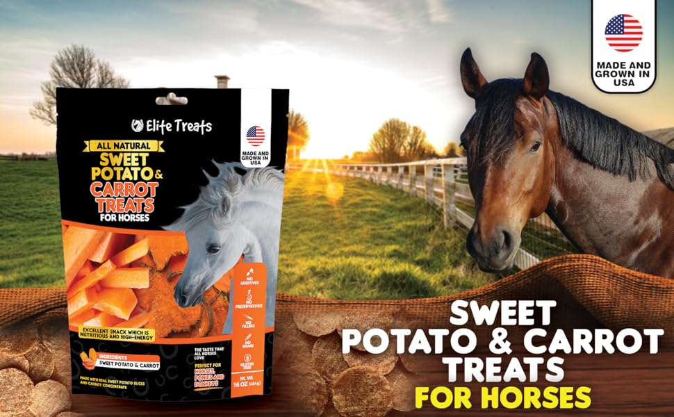 All Natural Sweet Potato Carrot Treats for Horses Dehydrated no sugar snack