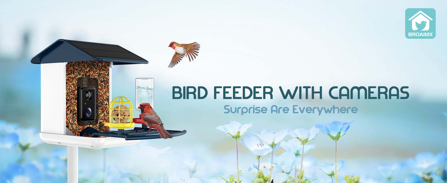 bird feeder camera solar