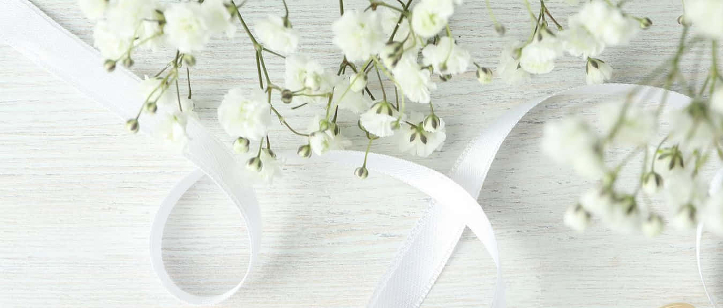 brand story background 3