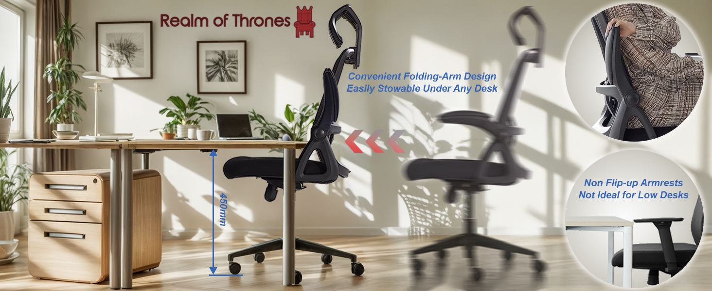 Text reads 'Behold of Throne'. Office interior showing ergonomic chair with labeled features and arrows pointing to various adjustable components.