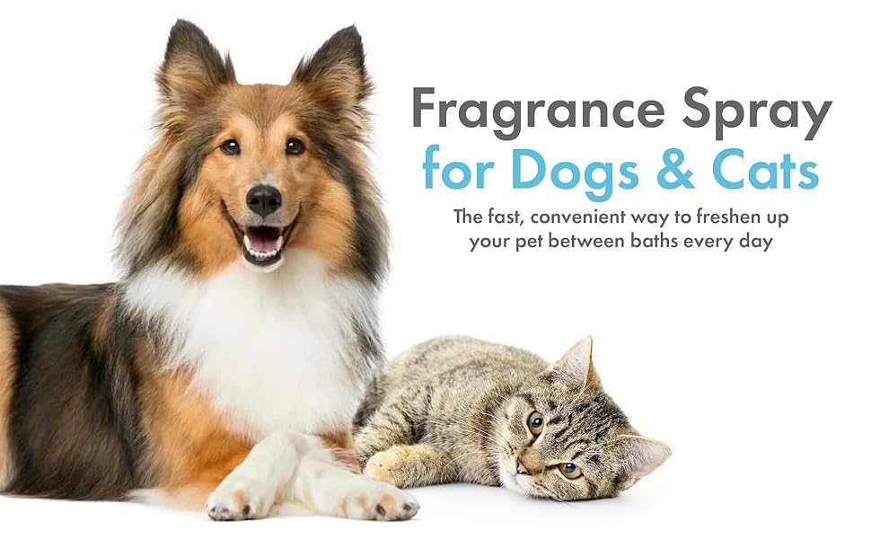 Petkin Hemp Waterless Dog Shampoo Spray with Hemp Oil