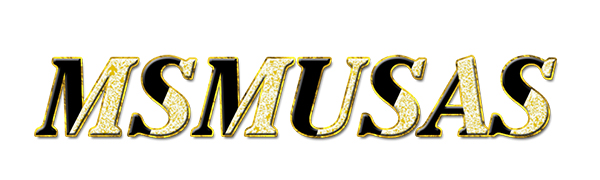 claw clip messy bun hair piece