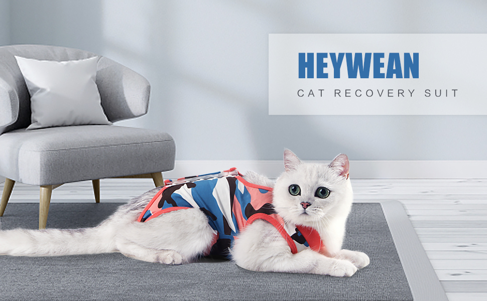 HEYWEAN Body Chat Post operatoire Combinaison de récupération pour Chat Manteau Chat Vetement